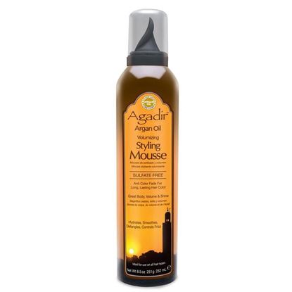 Picture of Agadir Argan Oil Styling Mousse 252ml